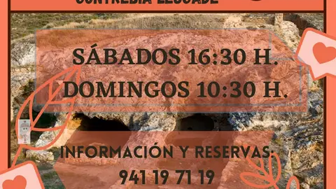 Visitas guiadas a Contrebia Leucade