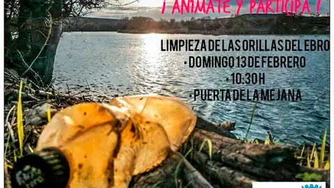 Limpieza de las orillas del Ebro en Tudela