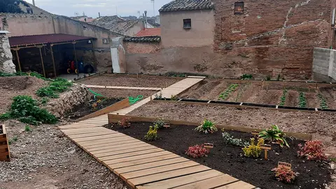 Vista del actual huerto escolar