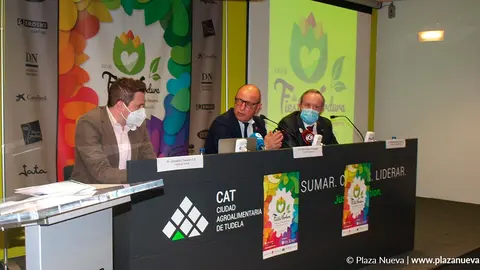 presentaci&oacute;n verduras 2