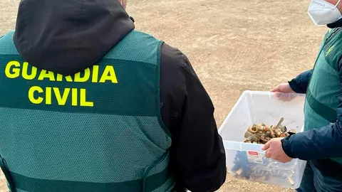 La Guardia Civil requisa parte de los riegos robados