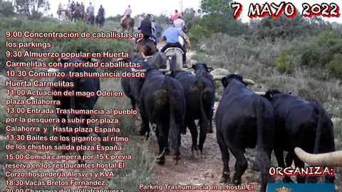Cartel trashumancia Villafranca