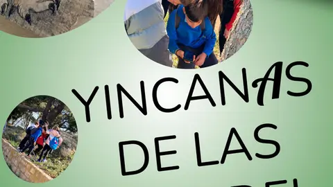 Yincanas de aves del castillo
