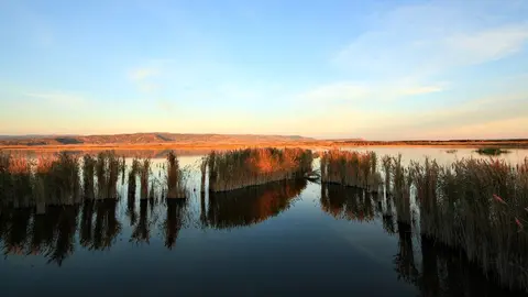 Laguna Pitillas