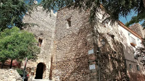 Castillo de A&ntilde;&oacute;n 5