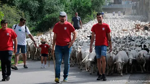 D&iacute;a Rural en Caparroso 2022 8