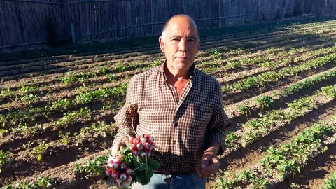 Manuel Navarro P&eacute;rez, Hortelano Popular 2022, es conocido por sus rabanetas, de las mejores de Tudela