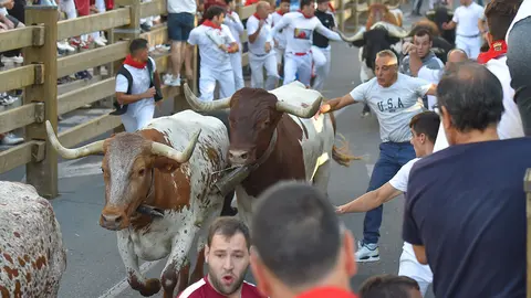 Encierro d&iacute;a 25, Fiestas de Tudela 2022 - 7