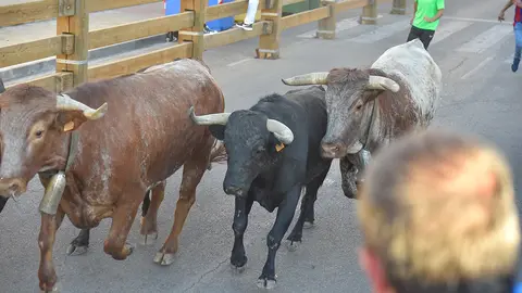 Encierro d&iacute;a 27, Fiestas de Tudela 2022 - 10