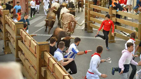 Encierro d&iacute;a 28, Fiestas de Tudela 2022 - 12