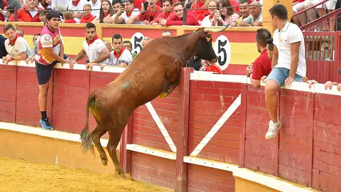 Encierro d&iacute;a 29, Fiestas de Tudela 2022 - 18