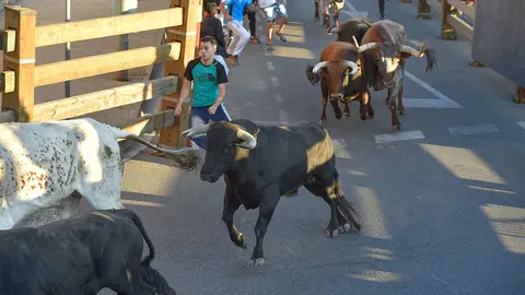 Encierro d&iacute;a 30, Fiestas de Tudela 2022 - 12