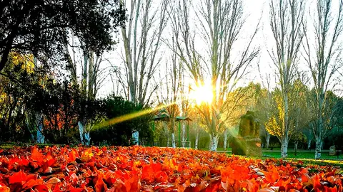 Parque Central Ejea