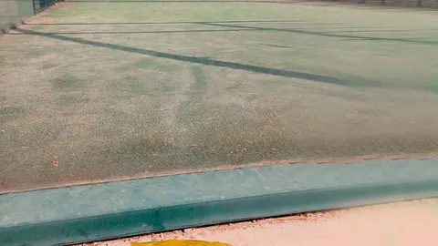 Una orop&eacute;ndola ha muerto estrellada contra el cristal de una pista de p&aacute;del