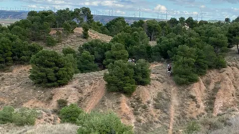 Los motociclistas destrozan el entorno