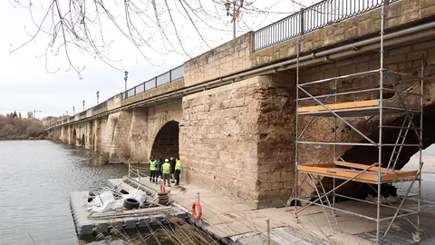 El puente de Tudela, durante las obras