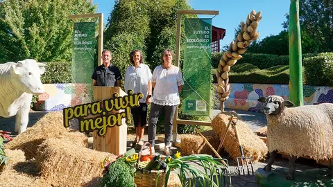 Feria Navarra Ecol&oacute;gica en Noain