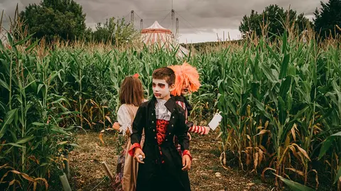 Sendaviva Halloween 2022 Laberinto vegetal
