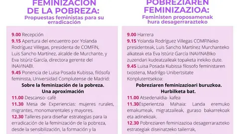 IX Encuentro Violeta en Murchante