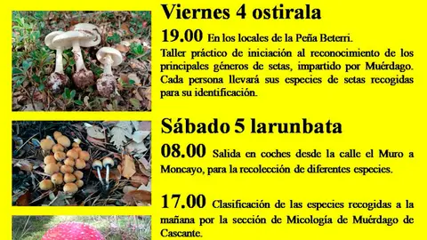 XXIII Jornadas micol&oacute;gicas en Tudela de la Pe&ntilde;a Beterri