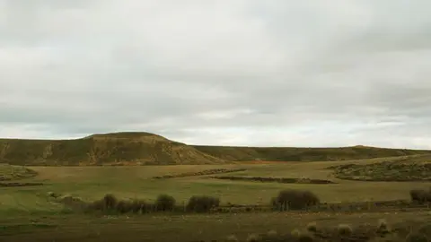 ZEC ZEPA estepa campo Ablitas