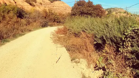 Camino de la Mejana mal estado 2