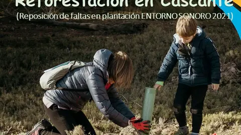 Reforestaci&oacute;n &lsquo;Entorno Sonoro&rsquo; 2022 en Cascante
