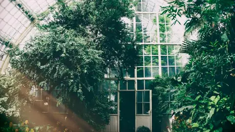 Cultivo de marihuana en interiores