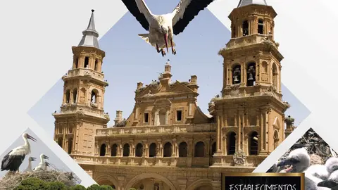 Fiestas de San Blas 2023 en Alfaro D&iacute;a de la Cig&uuml;e&ntilde;a