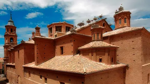 Alfaro cig&uuml;e&ntilde;as 1