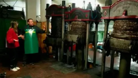 Trujal La Ver&oacute;nica 1