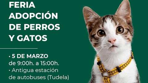 Feria en Tudela de adopci&oacute;n de perros y gatos