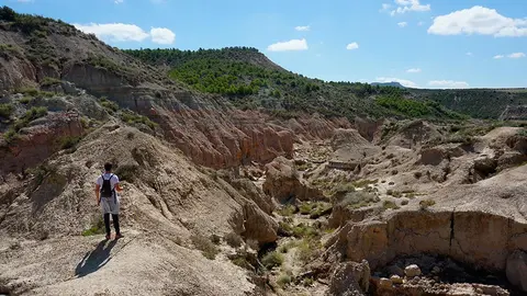 Congostos Bardena Negra Fusti&ntilde;ana 1