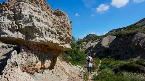 Congostos Bardena Negra Fusti&ntilde;ana 4