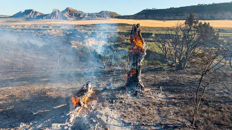 Incendios Bardenas