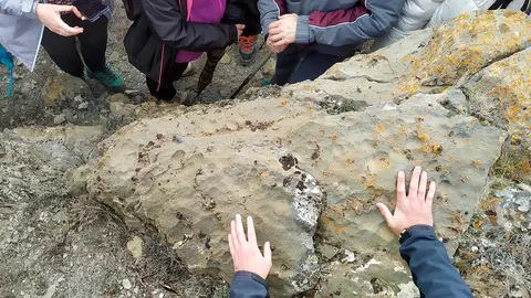 &Aacute;greda yacimiento 2