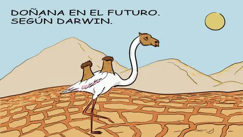 URTU Do&ntilde;ana seg&uacute;n Darwin (17-4-23)