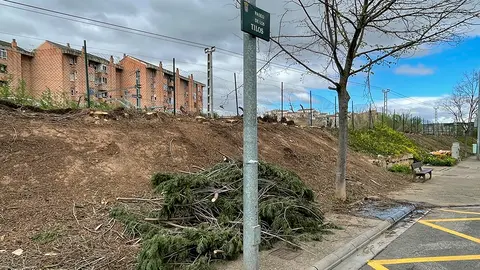 Paseo de los Tilos de Azucarera