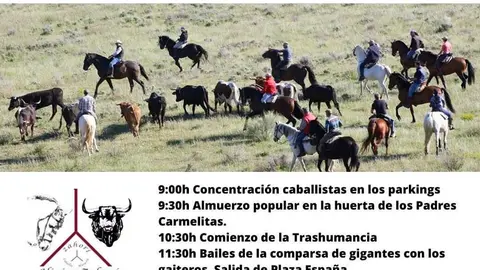 Trashumancia 2023 en Villafranca