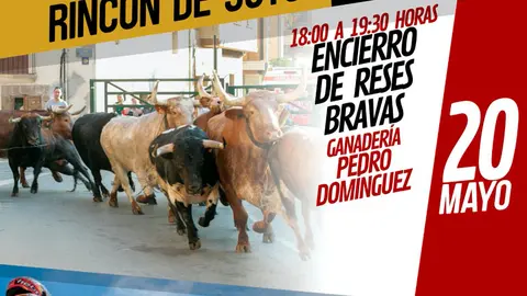 XI Fin de semana &lsquo;Pincho Joven&rsquo; 2023 en Rinc&oacute;n de Soto