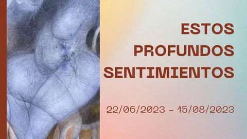 Exposici&oacute;n pl&aacute;stica en Tudela &lsquo;Estos profundos sentimientos&rsquo; de &Aacute;lvaro G&oacute;mez Barreto