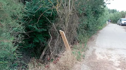 Vuelta a la Mejana 2