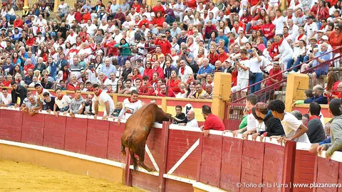Salto vaca al callej&oacute;n