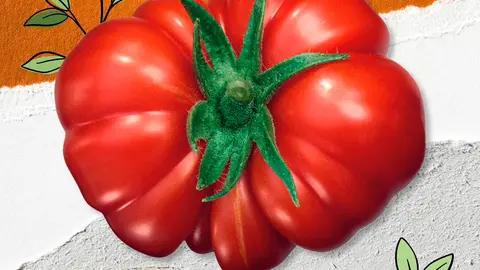 Fin de semana del Tomate Feo de Tudela 2023