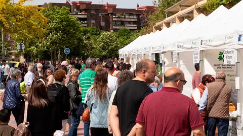 Tudela mercado