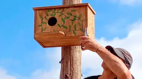 Cascante asociaci&oacute;n Mu&eacute;rdago nidos 3