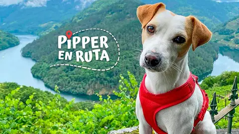 Pipper, el popular perro influencer que da la vuelta a Espa&ntilde;a para promover la integraci&oacute;n de las mascotas en transportes, hosteler&iacute;a y atracciones tur&iacute;sticas, protagoniza un espacio de viajes en La2 junto a su humano, Pablo Mu&ntilde;oz Gabilondo