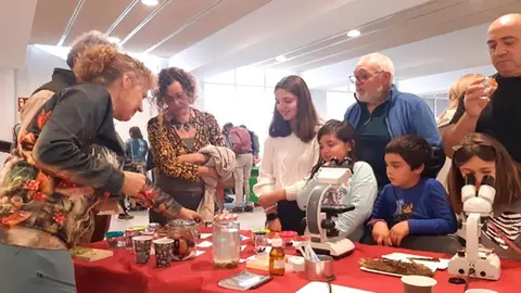 XXXI Jornadas micol&oacute;gicas de Cascante 1