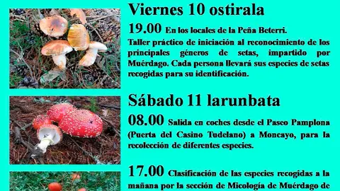 XXIII Jornadas micol&oacute;gicas de la Pe&ntilde;a Beterri 2023 en Tudela