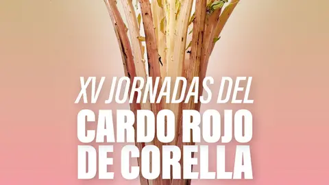 XV Jornadas del Cardo Rojo 2023 en Corella